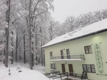 Фотографии Гостевой дом Cabana Alena г. Lupeni (Румыния) №1 Фото Гостевой дом Cabana Alena г. Lupeni 1