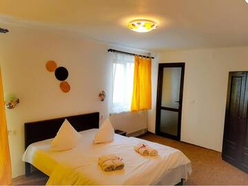 Фото номера Двухместный номер с 1 кроватью Гостевой дом Cabana Alena г. Lupeni 2